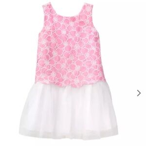 Janie and Jack pink scalloped lace tutu tulle dress size 4 ALL ABLOOM